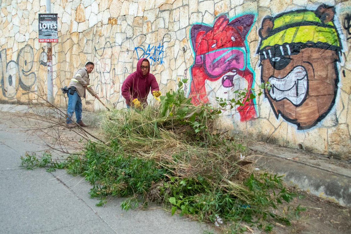 raychagoya's tweet photo. #Megatequio | Calzada del Panteón
🟡 Acción realizada:
Recolección de residuos en el tramo 1 de la calle Rancho El Mezquite, desde la esquina con Camino del Panteón.
Con estas acciones reducimos focos de contaminación, fortalecemos la limpieza del entorno y contribuimos al bienestar y la calidad de vida de las vecinas y vecinos.⚡️
#VecinasYVecinos
#TransformandoJuntosLaCapital
#OaxacaDeJuarez