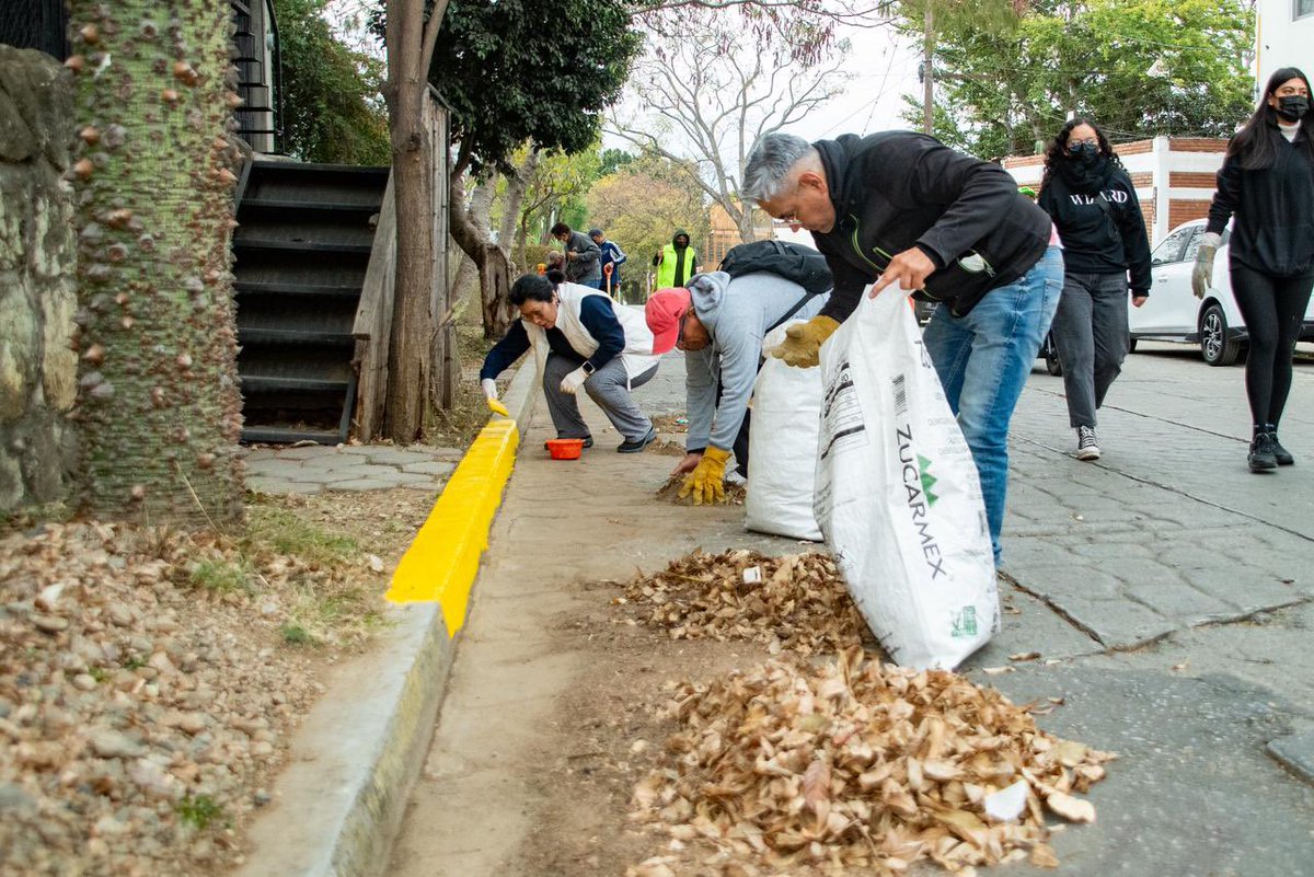 raychagoya's tweet photo. #Megatequio | Calzada del Panteón
🟡 Acción realizada:
Recolección de residuos en el tramo 1 de la calle Rancho El Mezquite, desde la esquina con Camino del Panteón.
Con estas acciones reducimos focos de contaminación, fortalecemos la limpieza del entorno y contribuimos al bienestar y la calidad de vida de las vecinas y vecinos.⚡️
#VecinasYVecinos
#TransformandoJuntosLaCapital
#OaxacaDeJuarez