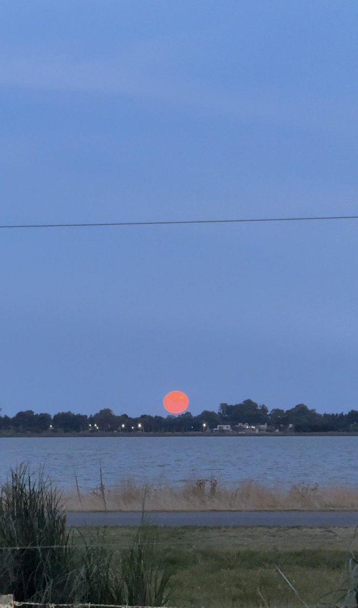 mariana_chasco's tweet image. Por Dios la Luna