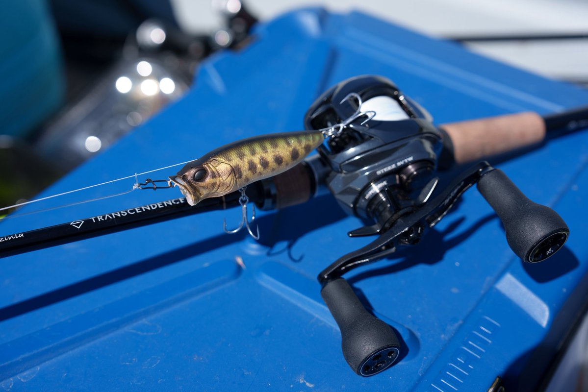 ブラックアロワナ（Osteoglossum ferreirai）。
美しい。
昔アジアアロワナを狙いに行った時、掛からなかったけど反応良かった稀代の名作、POP MAX。
少年の憧れのルアーとサカナ。これで釣りたかったんよ。しかも雷魚カラー。最高。
#トランスセンデンス
#レイブルジニア
#メガバス
#bkk
#fangs63ua