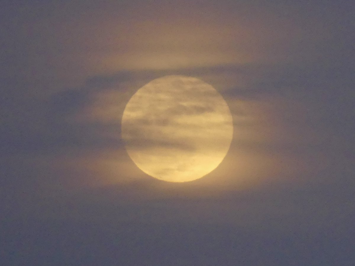 C on the scene tweet media