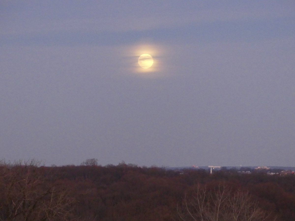 C on the scene tweet media