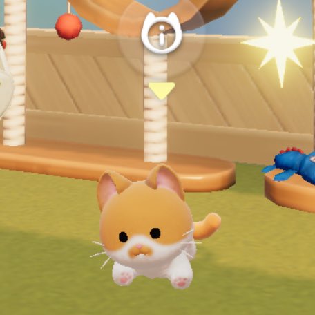 Mouse ʕ •ᴥ• ʔ ♡ 🔪 tweet media