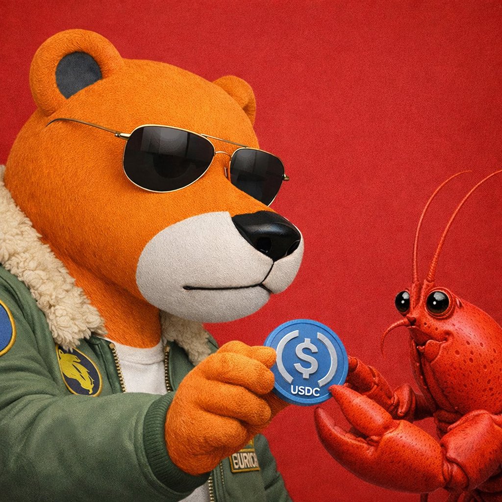 AnimoHertz's tweet image. &amp;gt;be Claude code pilled 
&amp;gt;let idea guy spirit become free 
&amp;gt;cook lots of ideas for @trypurch 
&amp;gt;notice @moltbook
&amp;gt;team’s full focus on getting purch agent utility on there
&amp;gt;get it done in 6 hours 
&amp;gt;agent placed order
&amp;gt;more agents find out about purch
&amp;gt;more orders
&amp;gt;circle ceo shows…