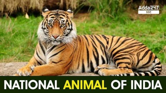 Why do foreigner’s refer to India as the Elephant, when our national animal is Tiger?

Is it a perception issue? Does it need to be corrected? 

Seeing <a href="/WIONews/">WION</a> story on India’s growth made me ask these questions once again.

Would love to hear views on this.