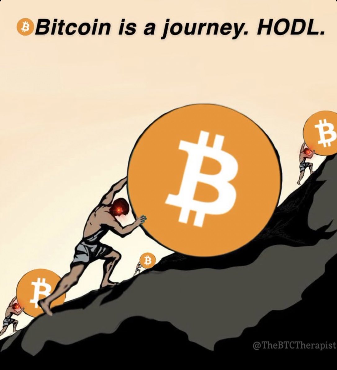 Satsback.com ⚡ tweet media