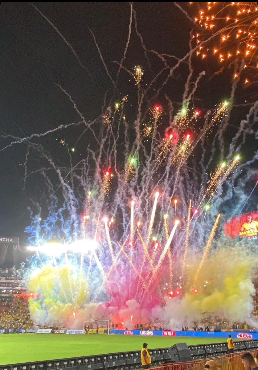 Gray 🐈‍⬛ tweet media