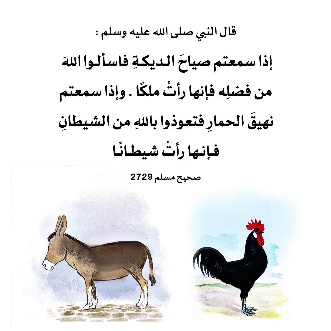 أم أنفال 🦋 tweet media