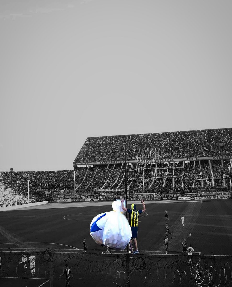 A LAS GALLINAS LE TENEMOS QUE GANAR