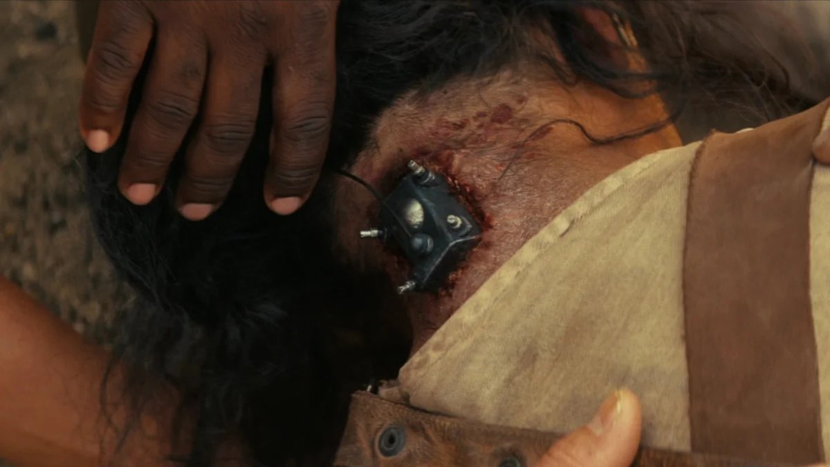 SIGKITTEN tweet media