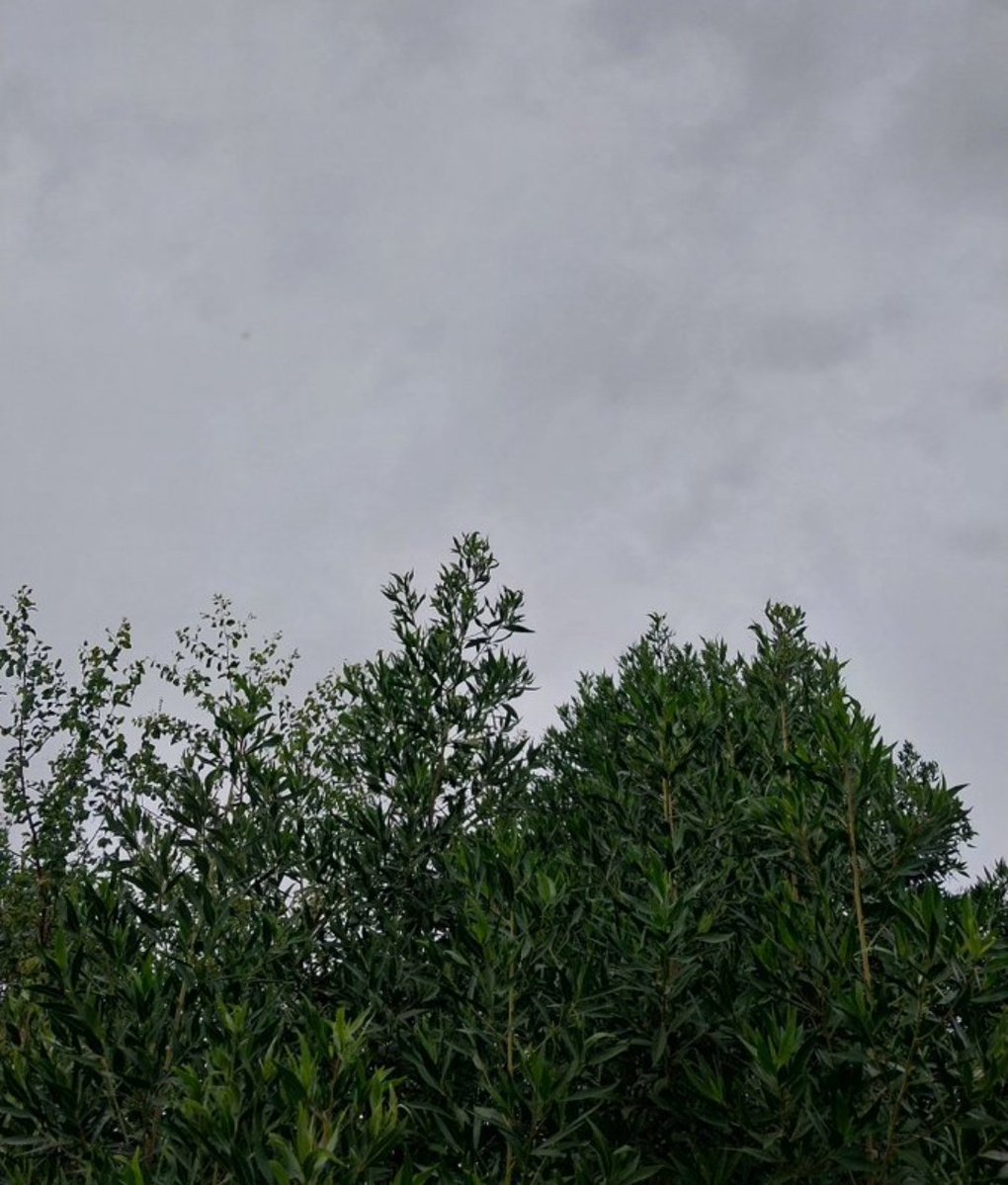 اللهم  بلغنا رمضان مجبورين الخاطر  🤍
مطمئنين برضاك يا الله