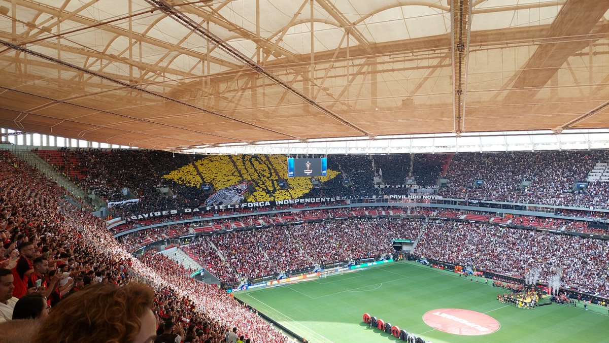 Vinicius Paiva tweet media