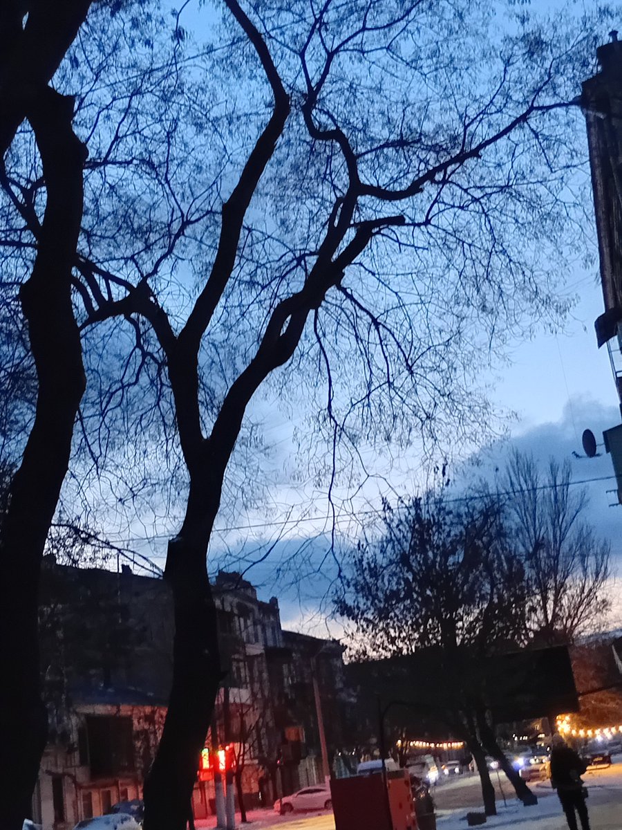 Катерина Галич tweet media