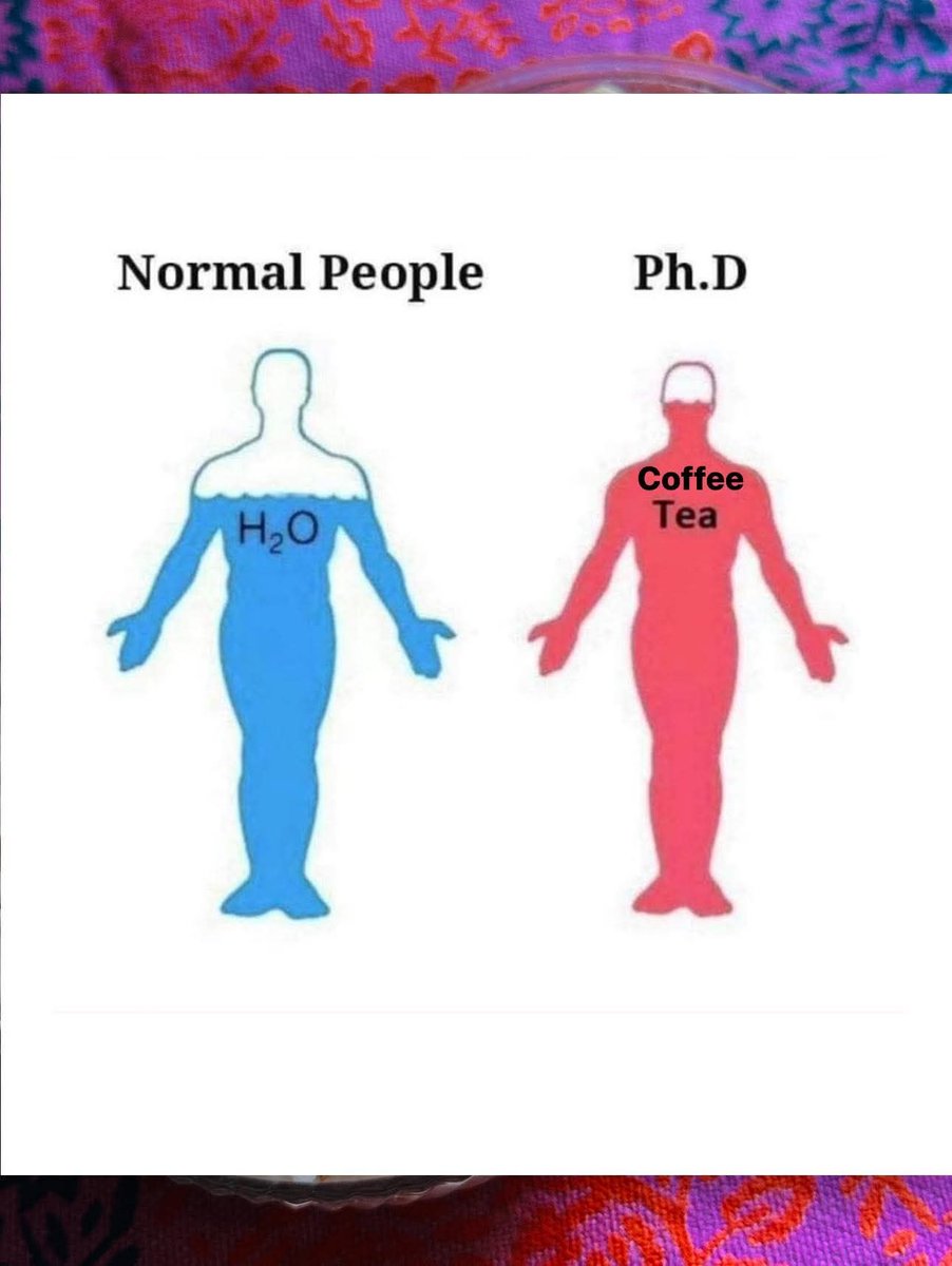 Normal People vs PhD