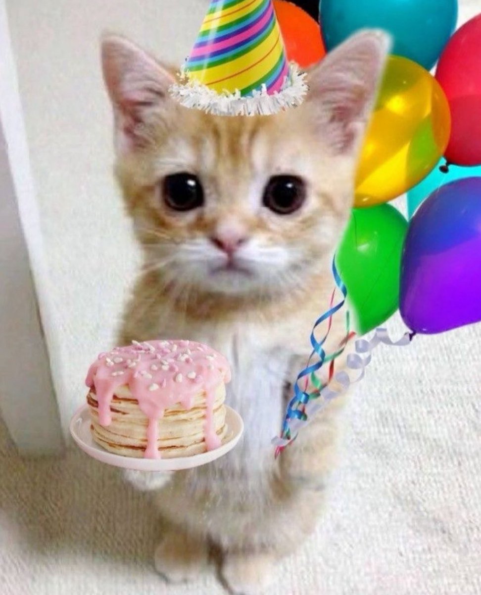 DaPandaGirl 🐼 tweet media