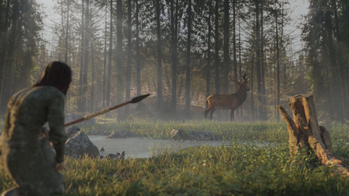 Mark Hoyle tweet media