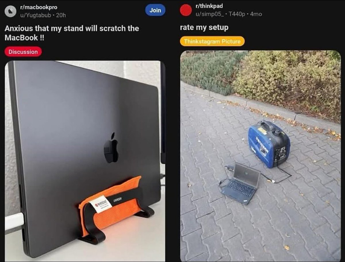 Braindead Bird App tweet media