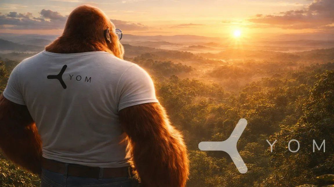 NOORI ZAMA 💛 | ETHGas ⛽ tweet media