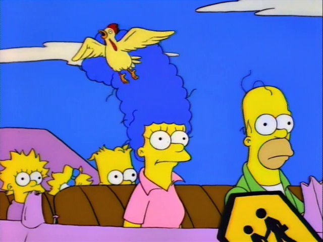 Oso Tramposo tweet media