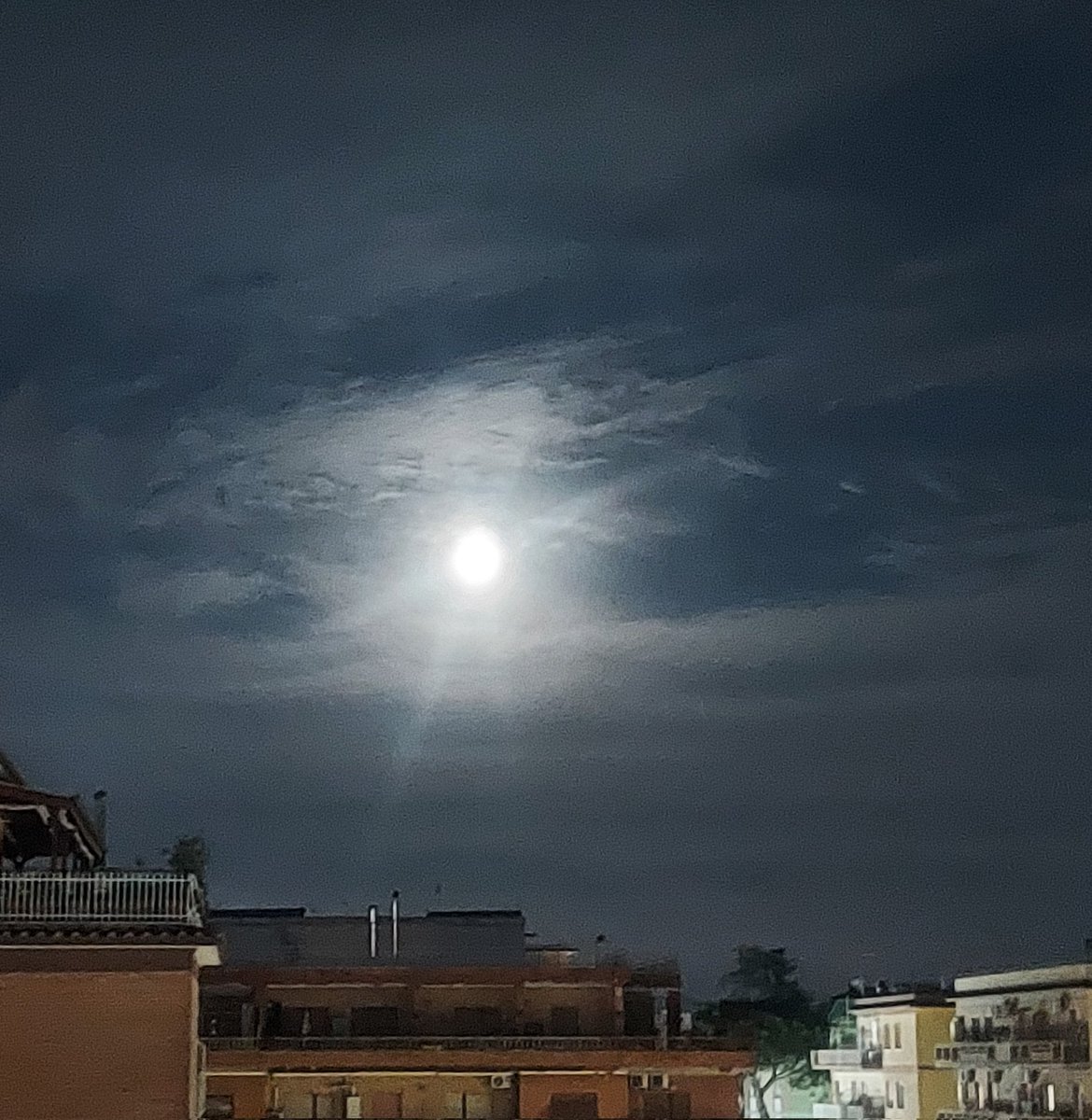 Maria Lea tweet media