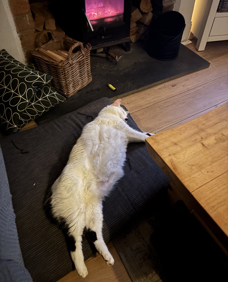 Laura Elliott tweet media