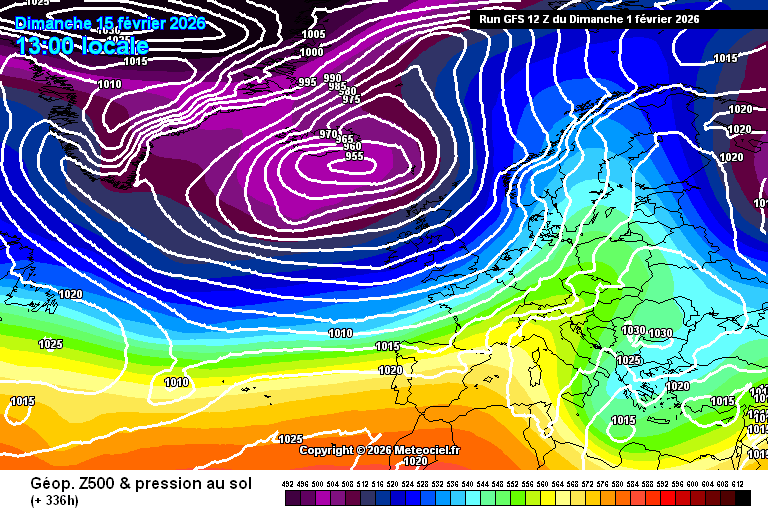 AllNature tweet media