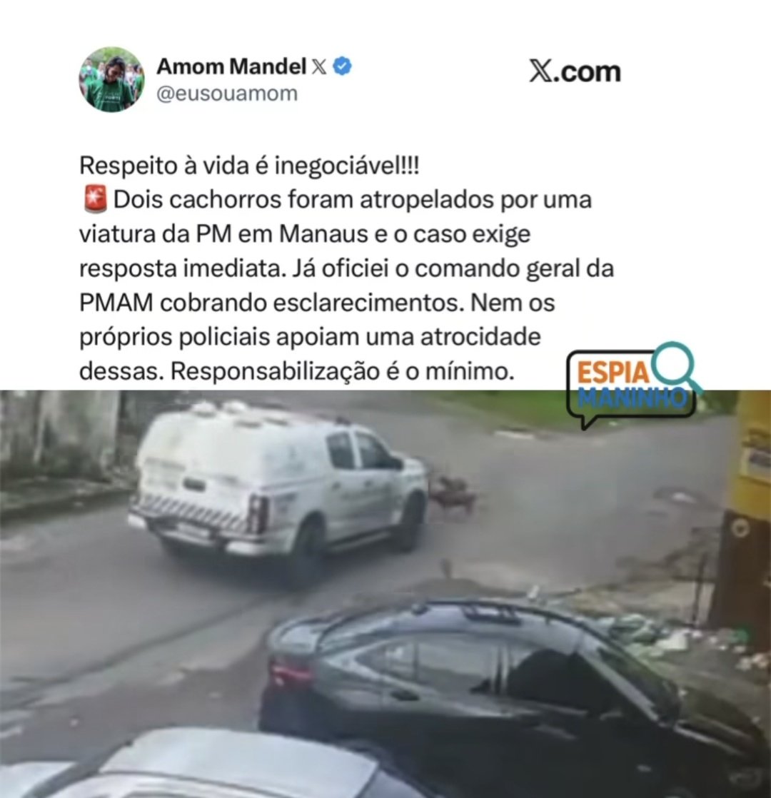 karenmabel's tweet image. o Brasil inteiro comovido com o caso de crime contra animais, pedindo #JustiçaPorOrelha, aí os PMs daqui acham uma boa ideia passar por cima e matar dois cachorros de uma vez... que exemplos são esses, ne?