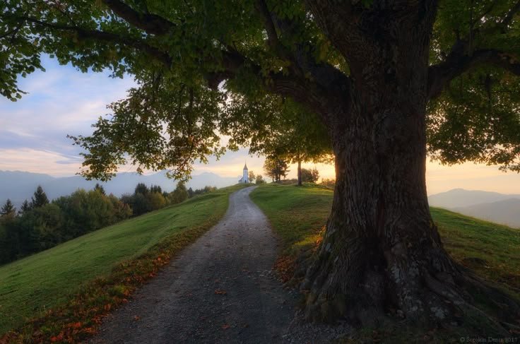 sorrrowfull's tweet image. 