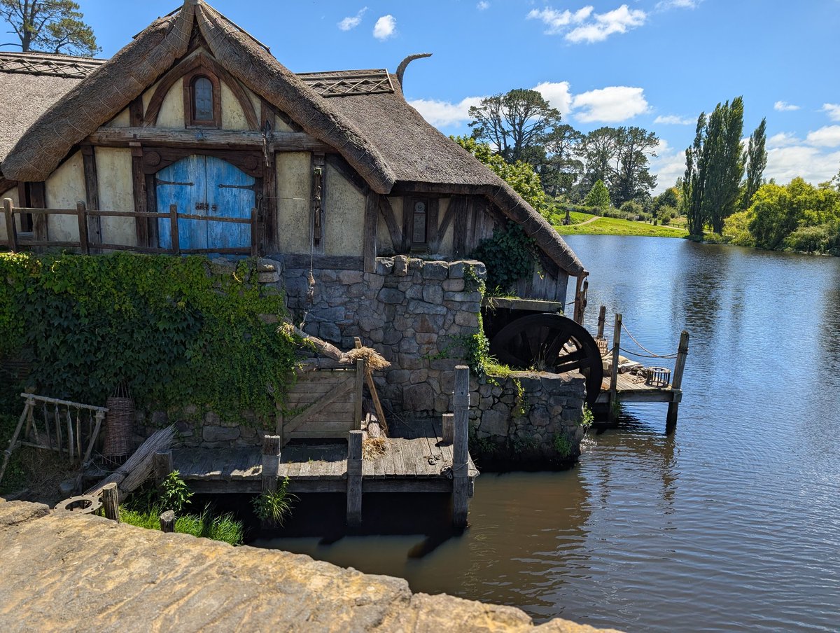 the_MerMae tweet media