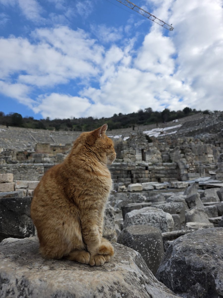 namnamsu's tweet photo. @menavisualss Ephesus, Türkiye 🇹🇷 https://t.co/JxrJXniLQo