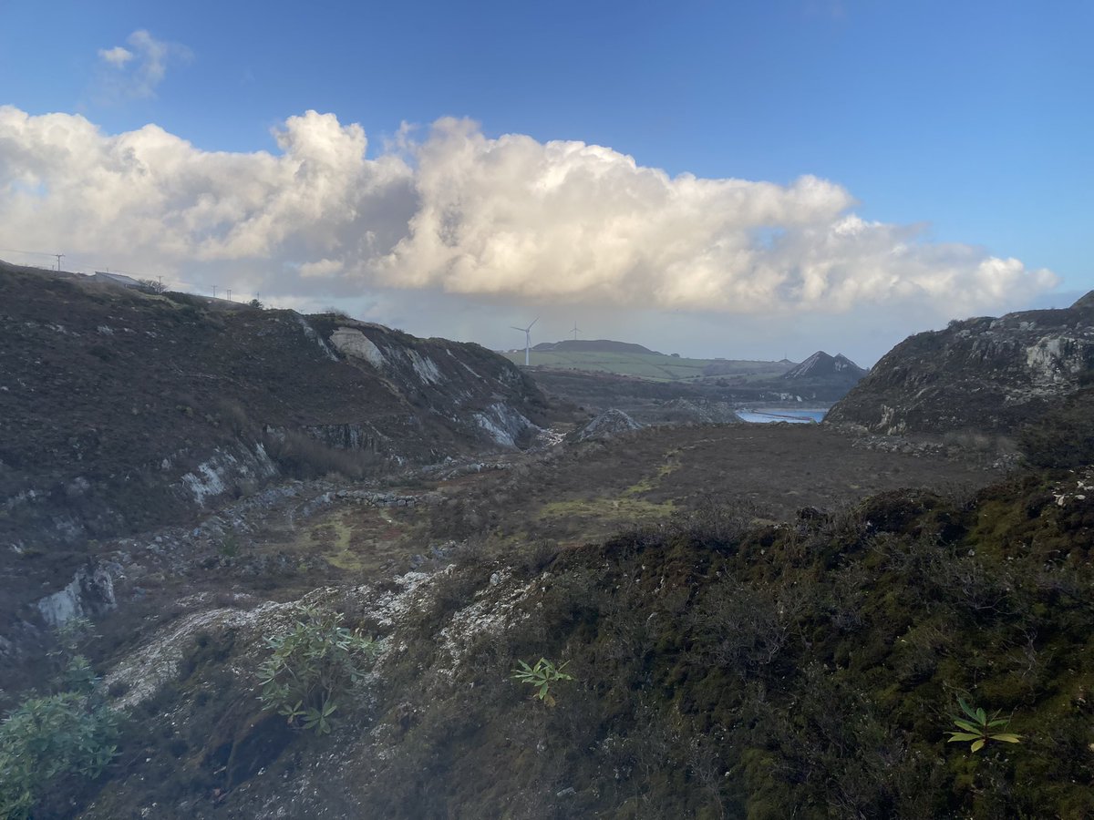 Tenpo | Streamer/Editor tweet media