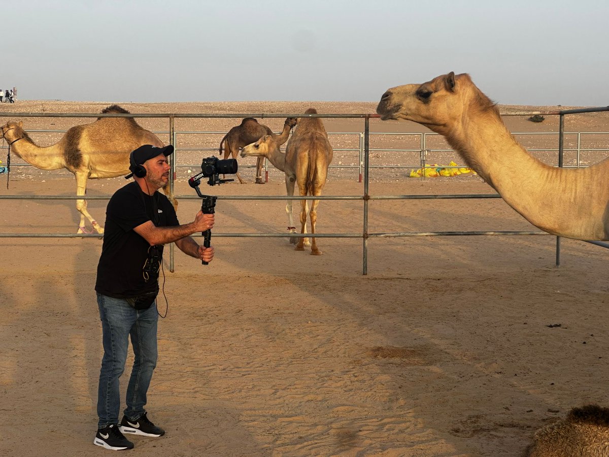 DEL'ATTIC tweet media