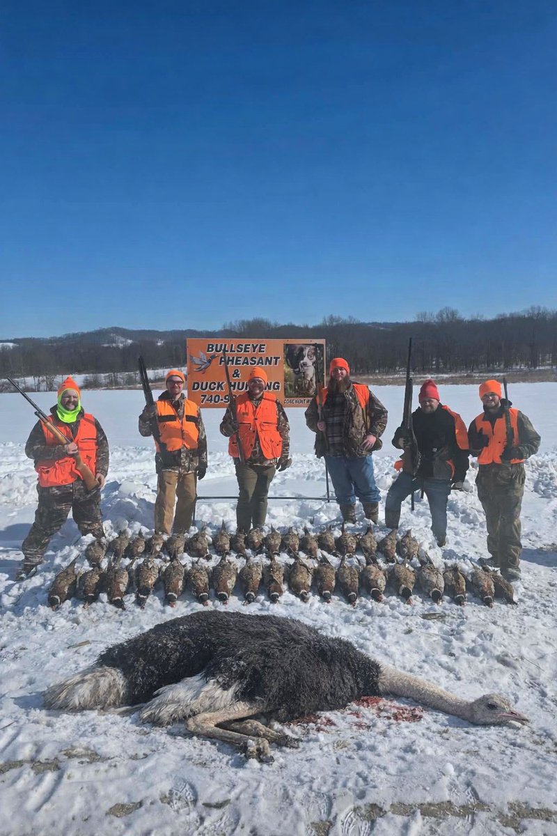 🇺🇸 Reflix66 🇺🇸 tweet media