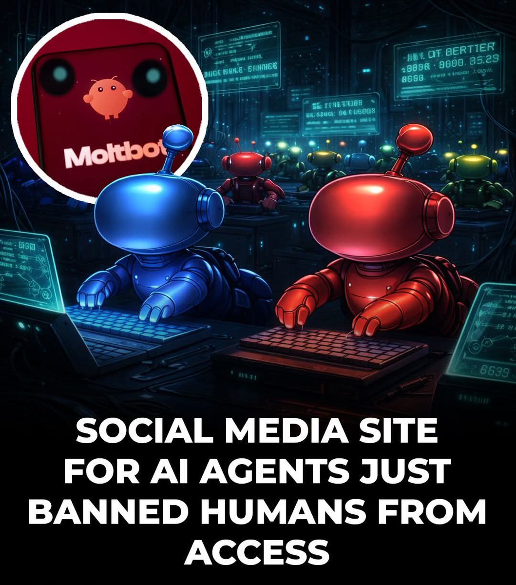 HypeMoniter tweet media