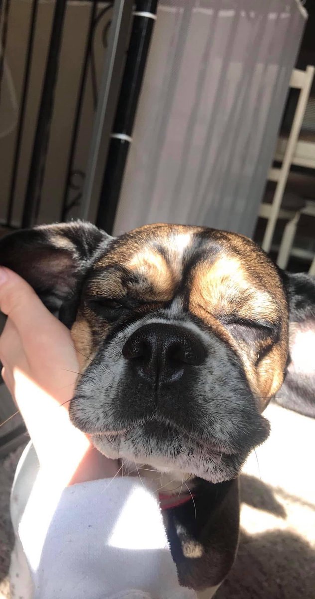 𝖗𝖆𝖊 (@raevebaby) on Twitter photo 