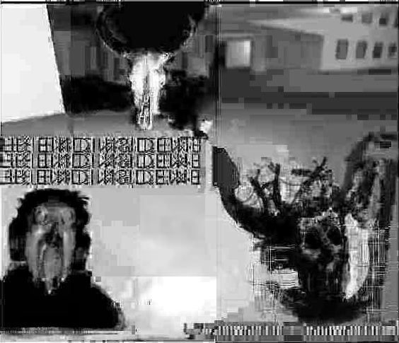 chatter_cool's tweet photo. @NOT1e1 @ThatGoblin69 @RoseGoldManiac @BrodyFoxx Ragebait :( https://t.co/U7vaVV9yC5