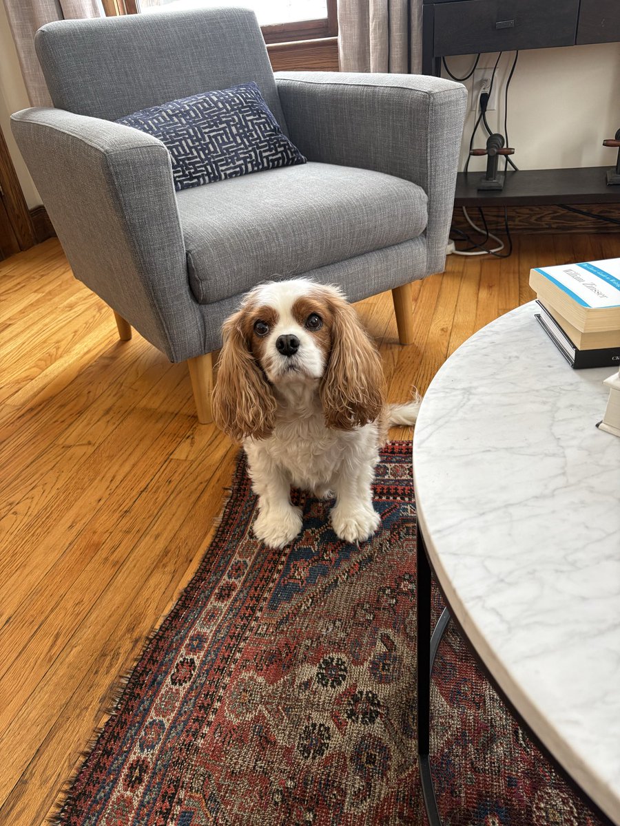 Michael Castrilli tweet media