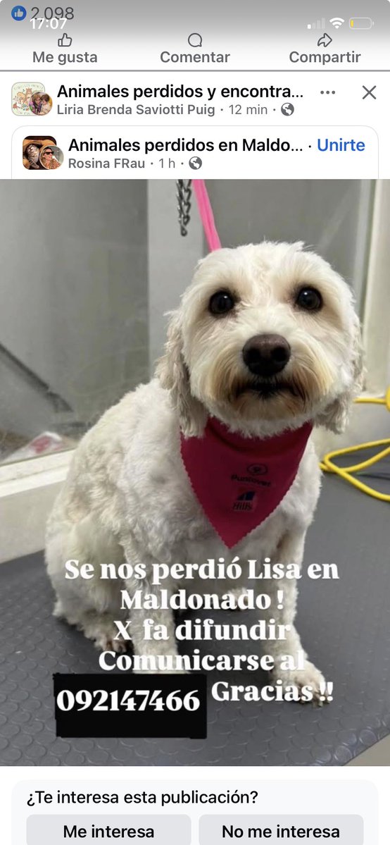 Adriana (@adriana43587622) on Twitter photo 