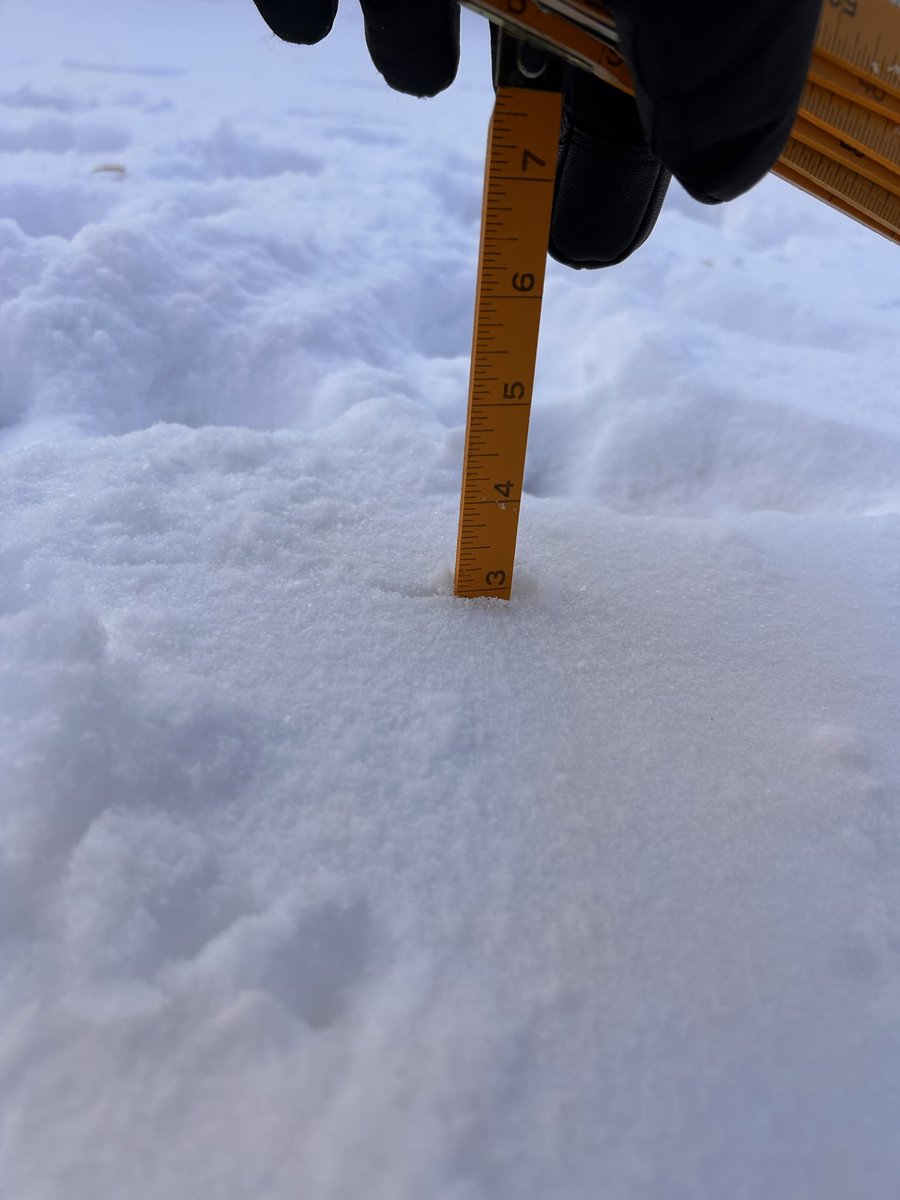 Steve Roth tweet media