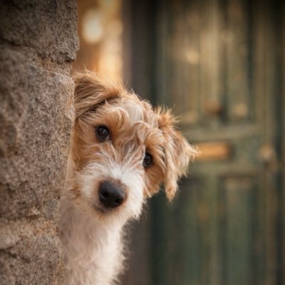 LePercyfication's tweet photo. #NeuesProfilbild https://t.co/n2iBkB6scA