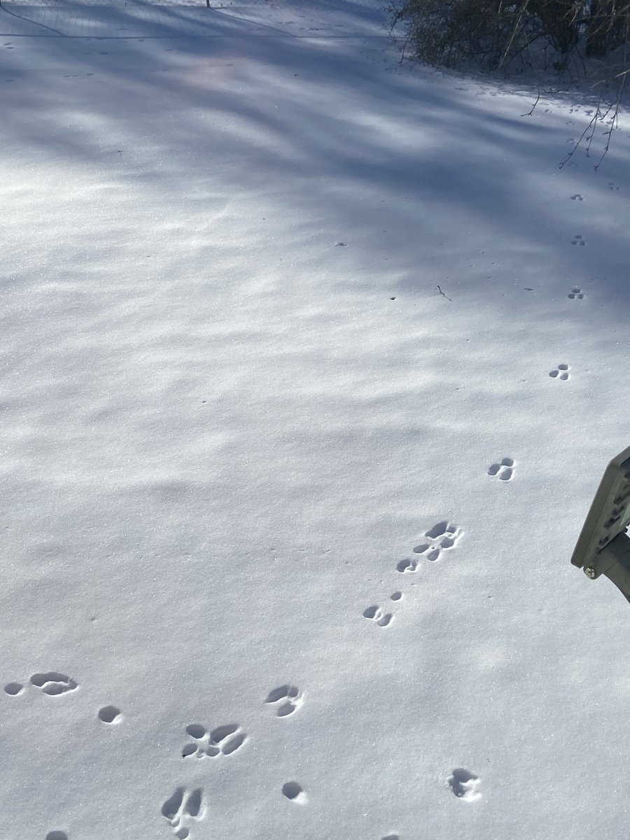 Jeycee Madden tweet media