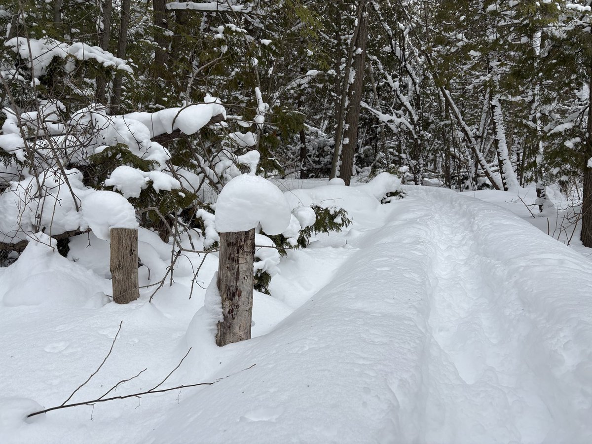RexHesch's tweet photo. Winter Wonderland https://t.co/JCRZq8YPx6