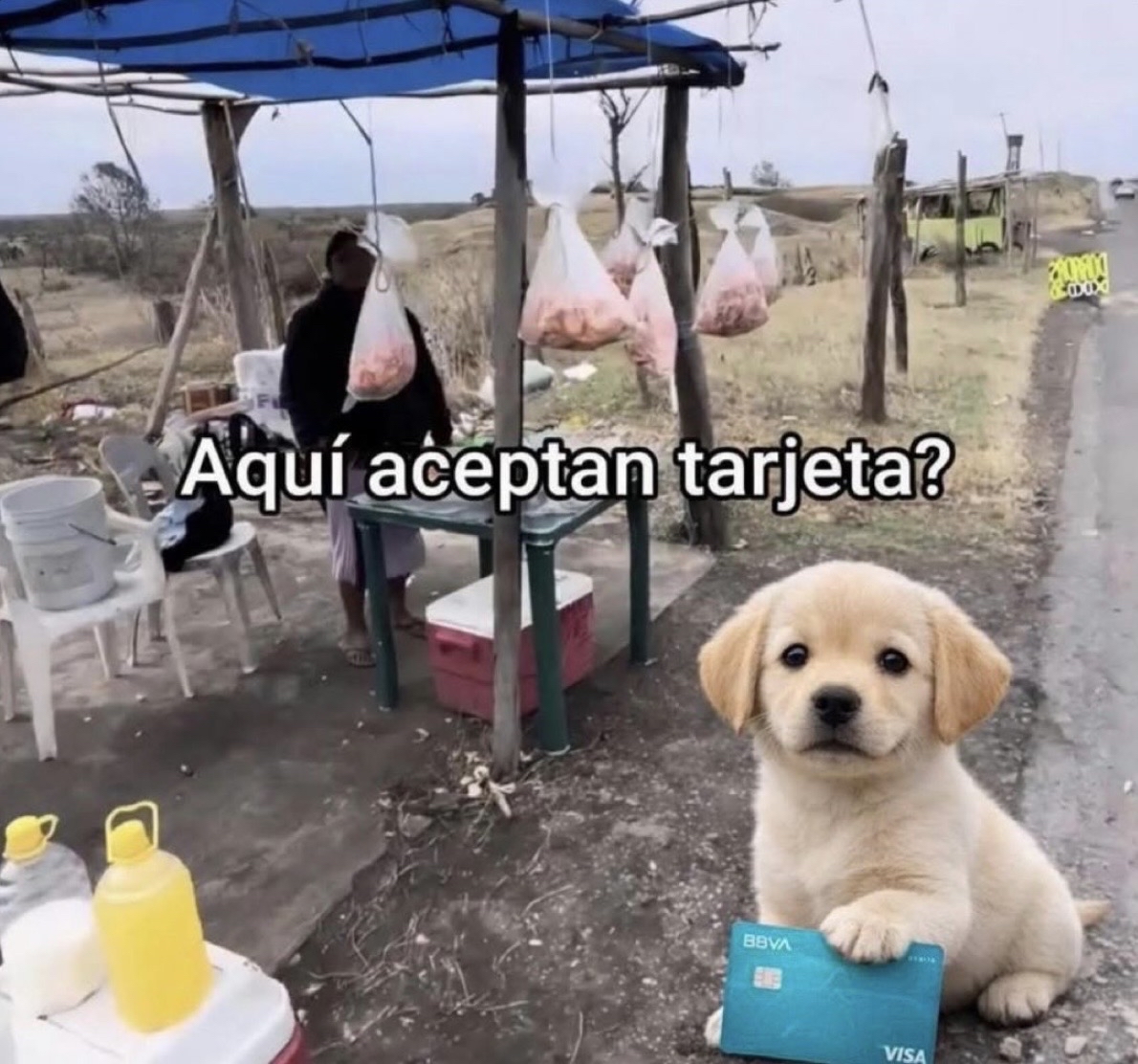 Yo en cualquier lado: