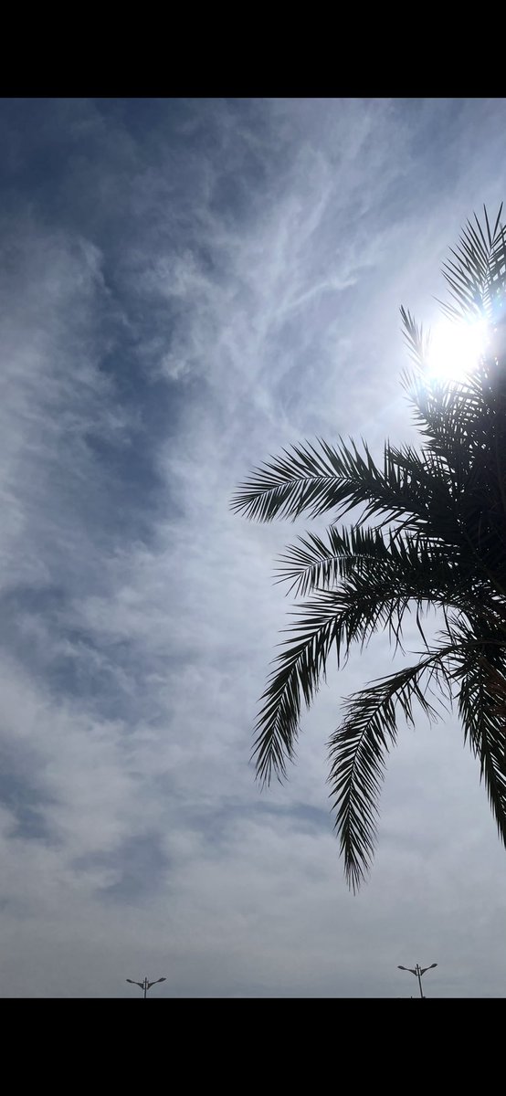 اللهم مع بداية الفصل دراسي الجديد يسَّر لنا دروب العلم، وافتح علينا أبواب الفهم، وبارك في أوقاتنا وجهودنا، واجعل ما نتعلمه حجة لنا لا علينا، ووفقنا لما تحب وترضى☀️🌿! 

#جامعة_نجران 
#viral 
#تصوير