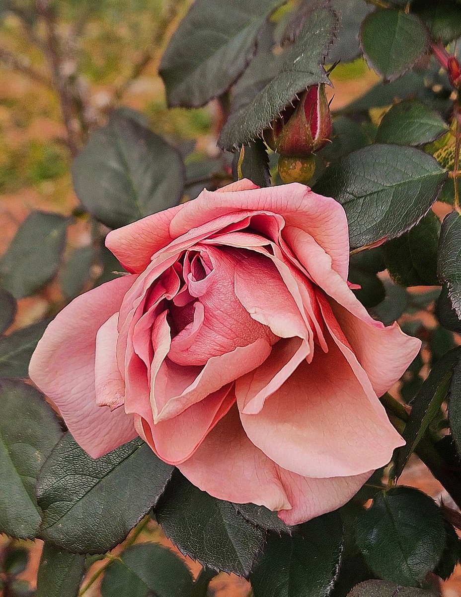 おはようございます😄😊🤗
寒いー－ー！！((( ；ﾟДﾟ)))🥶
今日も寒さに負けず笑顔忘れず元気に無理せず頑張っていきましょうね！ファイト🚩😃🚩
いつもいいね♡優しいメッセージありがとうございます❣️
あまり返信出来なくてごめんなさい🙏💦
素敵な１日になりますように！✨
今日も宜しくです😉👍🎶