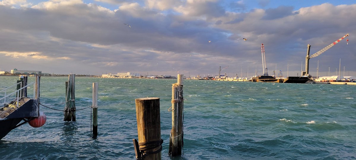 Rusty's Seafood & Oyster Bar tweet media