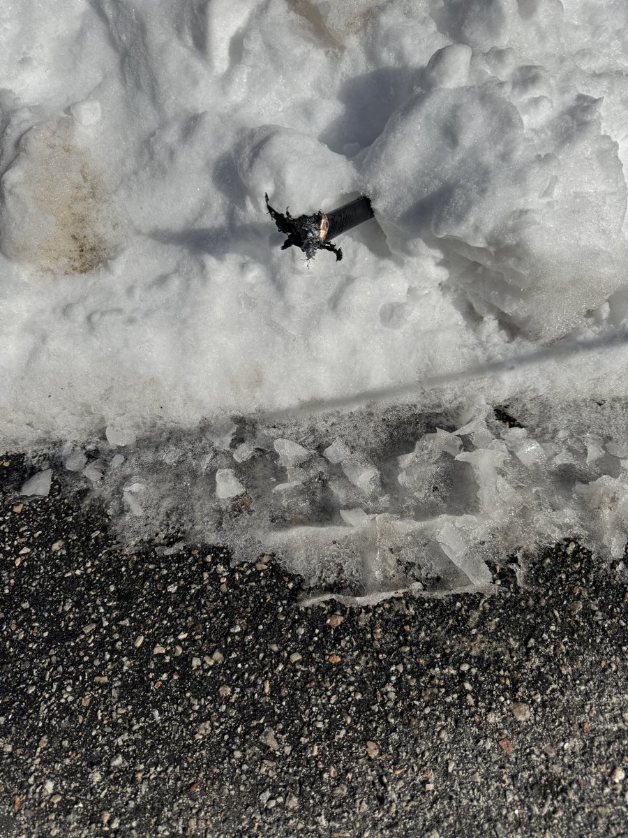 HanSolo #🟦 tweet media