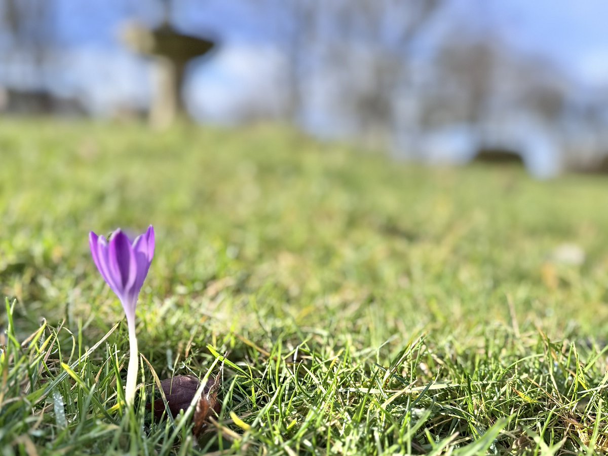 Judith Barnard tweet media