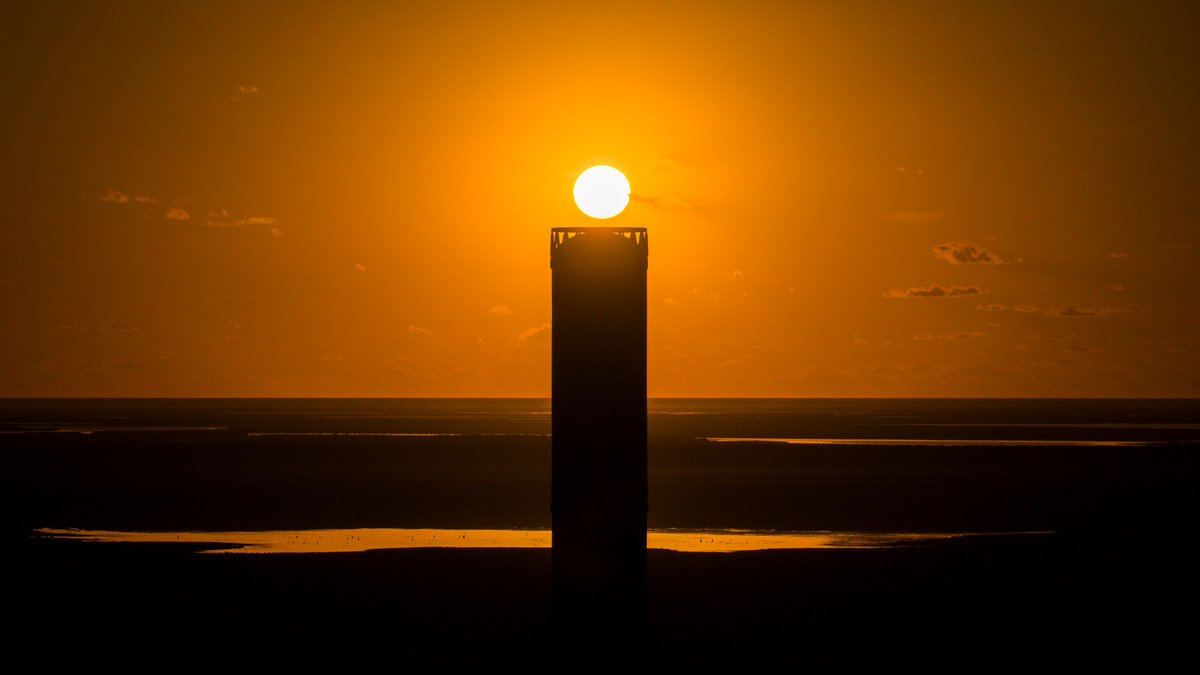 S.E. Robinson, Jr. tweet media