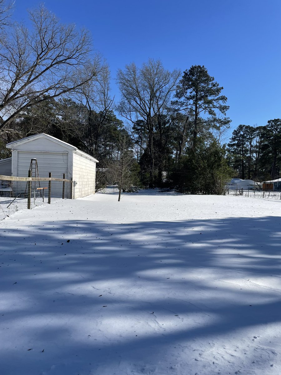 🐾Patch D Dalmatian🐾 tweet media